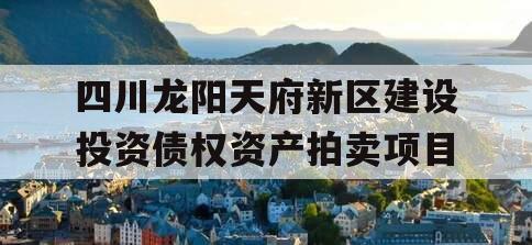 四川龙阳天府新区建设投资债权资产拍卖项目