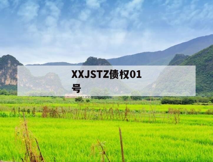 XXJSTZ债权01号