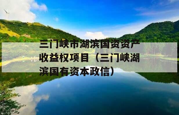 三门峡市湖滨国资资产收益权项目（三门峡湖滨国有资本政信）
