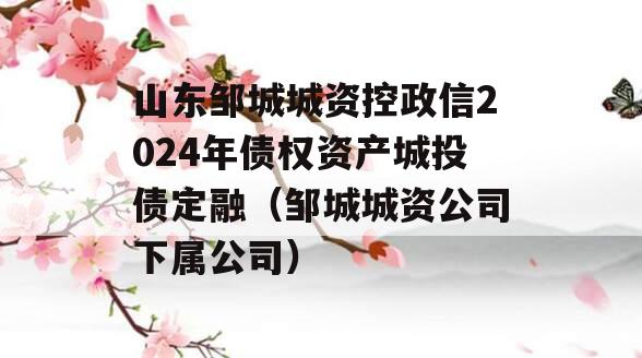 山东邹城城资控政信2024年债权资产城投债定融（邹城城资公司下属公司）