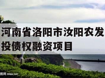 河南省洛阳市汝阳农发投债权融资项目
