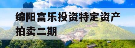 绵阳富乐投资特定资产拍卖二期