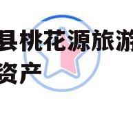 酉阳县桃花源旅游投资债权资产