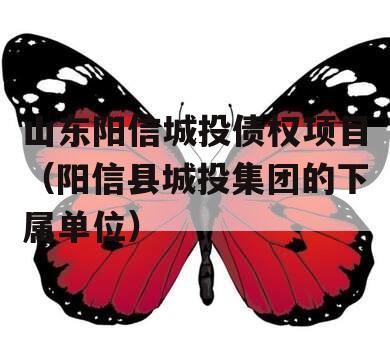山东阳信城投债权项目（阳信县城投集团的下属单位）