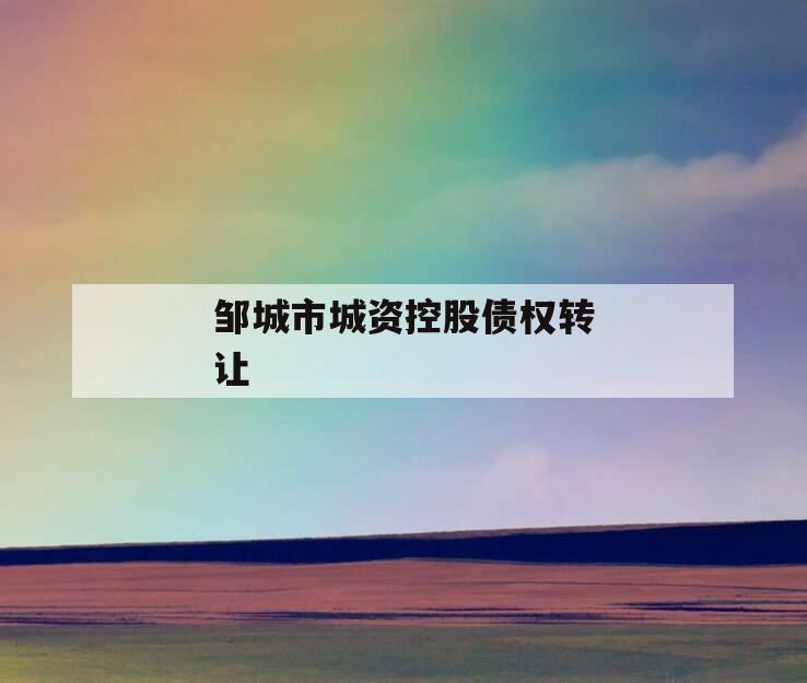 邹城市城资控股债权转让