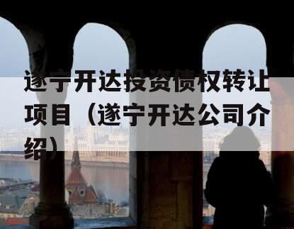 遂宁开达投资债权转让项目（遂宁开达公司介绍）
