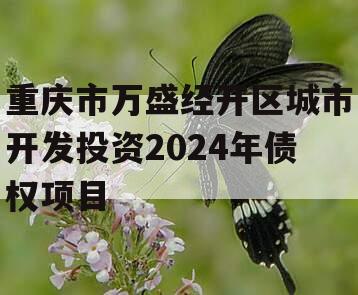 重庆市万盛经开区城市开发投资2024年债权项目