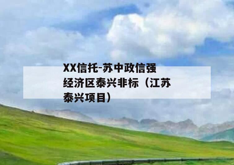 XX信托-苏中政信强经济区泰兴非标（江苏泰兴项目）