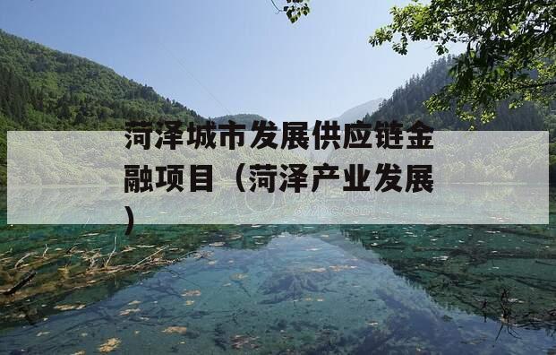 菏泽城市发展供应链金融项目（菏泽产业发展）