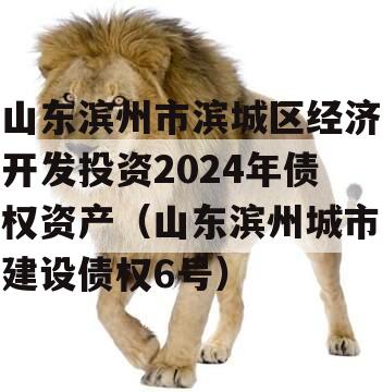 山东滨州市滨城区经济开发投资2024年债权资产（山东滨州城市建设债权6号）