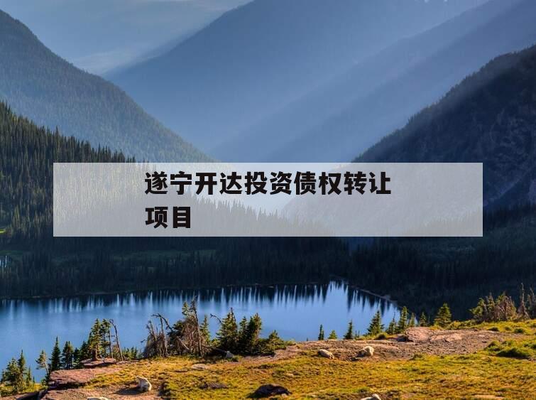 遂宁开达投资债权转让项目
