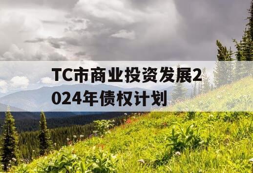 TC市商业投资发展2024年债权计划