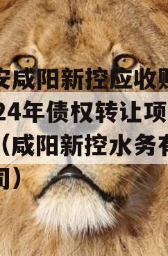 西安咸阳新控应收账款2024年债权转让项目（咸阳新控水务有限公司）