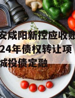 西安咸阳新控应收账款2024年债权转让项目城投债定融