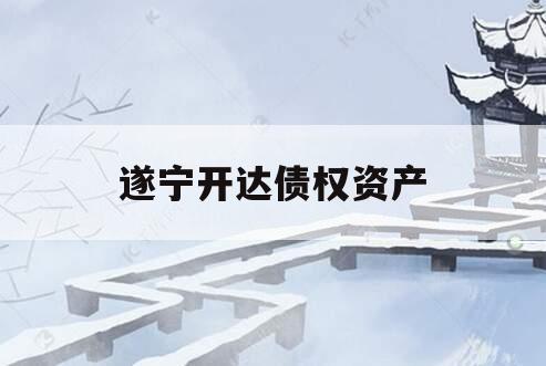 遂宁开达债权资产