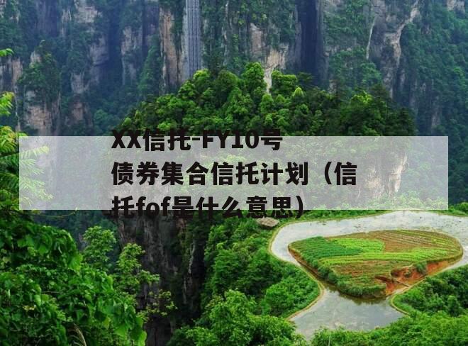 XX信托-FY10号债券集合信托计划（信托fof是什么意思）