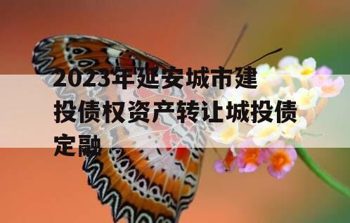 2023年延安城市建投债权资产转让城投债定融