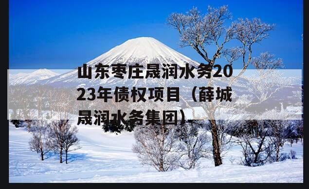 山东枣庄晟润水务2023年债权项目（薛城晟润水务集团）