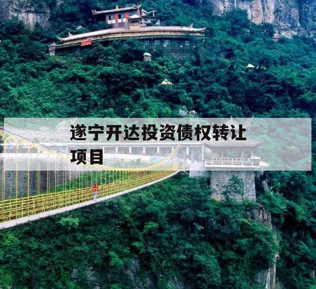 遂宁开达投资债权转让项目
