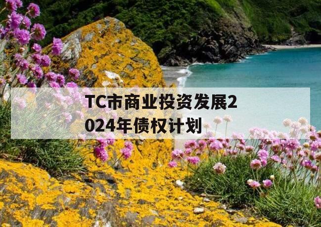 TC市商业投资发展2024年债权计划