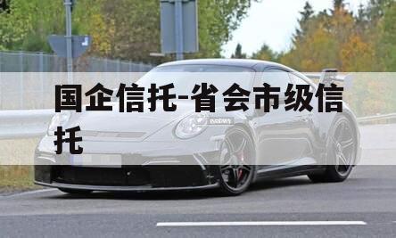 国企信托-省会市级信托