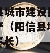 阳信县城市建设投资债权资产（阳信县城投集团董事长）