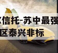 XX信托-苏中最强经济区泰兴非标