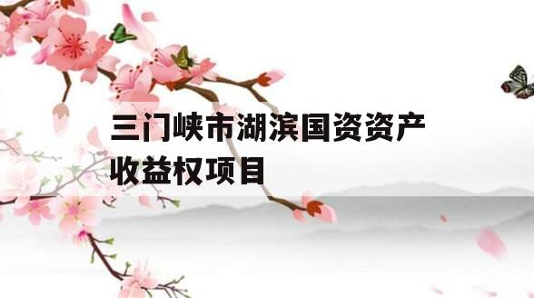 三门峡市湖滨国资资产收益权项目