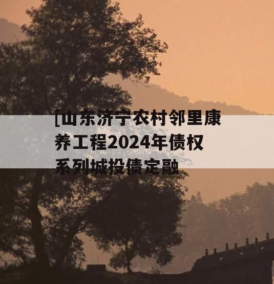 [山东济宁农村邻里康养工程2024年债权系列城投债定融