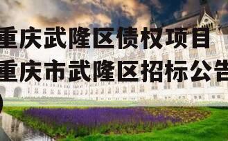 重庆武隆区债权项目（重庆市武隆区招标公告）