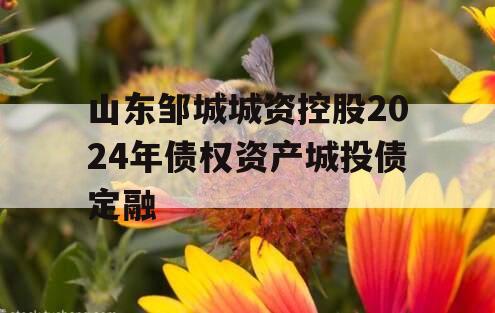 山东邹城城资控股2024年债权资产城投债定融