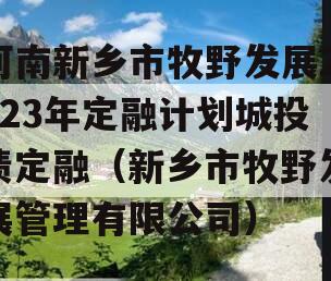 河南新乡市牧野发展2023年定融计划城投债定融（新乡市牧野发展管理有限公司）