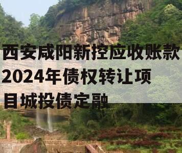 西安咸阳新控应收账款2024年债权转让项目城投债定融