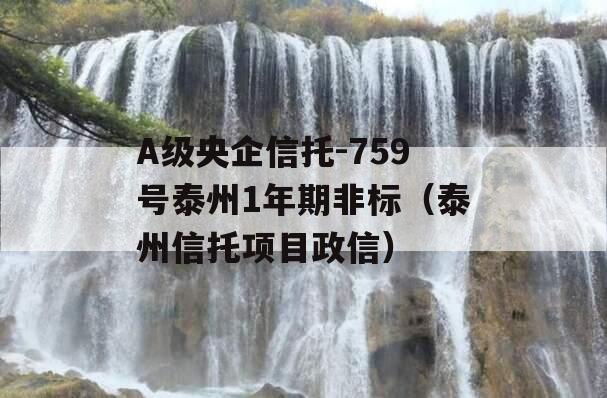 A级央企信托-759号泰州1年期非标（泰州信托项目政信）