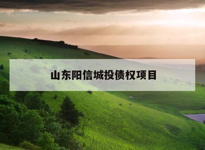 山东阳信城投债权项目