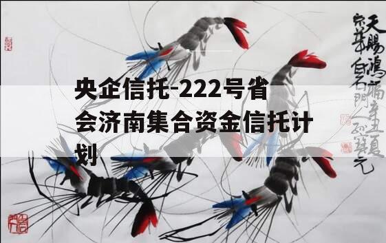 央企信托-222号省会济南集合资金信托计划