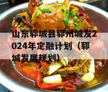 山东郓城县郓州城发2024年定融计划（郓城发展规划）
