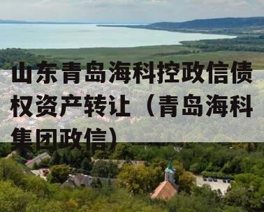 山东青岛海科控政信债权资产转让（青岛海科集团政信）