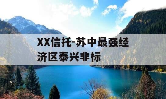 XX信托-苏中最强经济区泰兴非标