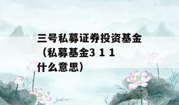 三号私募证券投资基金（私募基金3 1 1什么意思）
