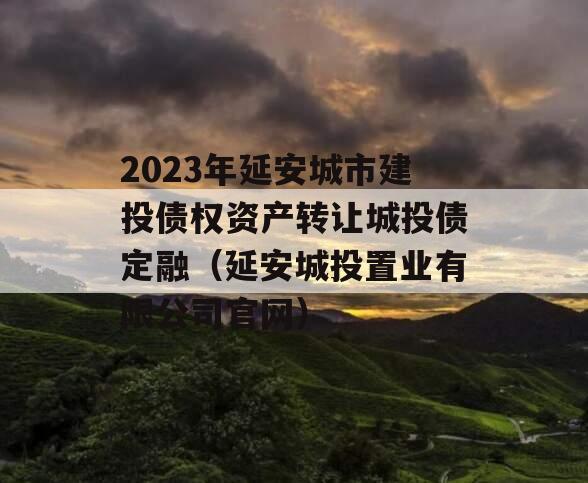 2023年延安城市建投债权资产转让城投债定融（延安城投置业有限公司官网）