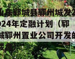 山东郓城县郓州城发2024年定融计划（郓城郓州置业公司开发的楼盘）