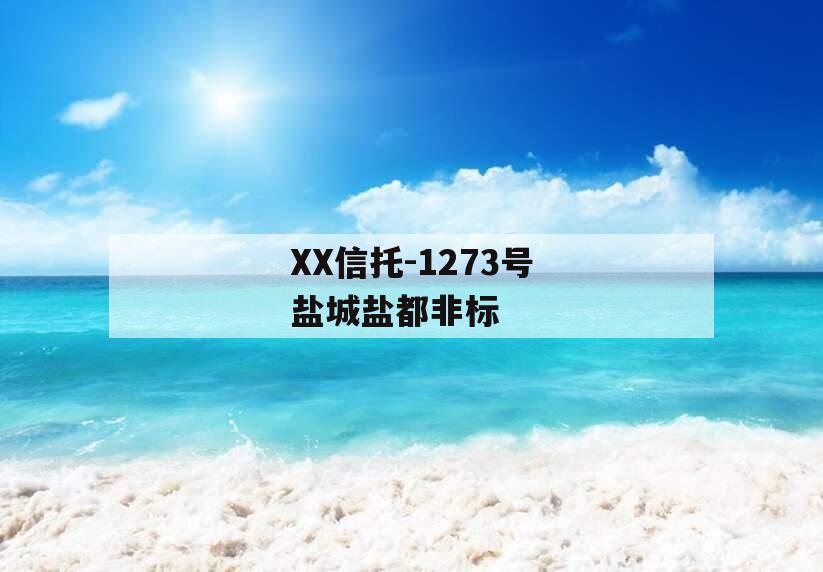 XX信托-1273号盐城盐都非标 XX信托-1273号盐城盐都非标