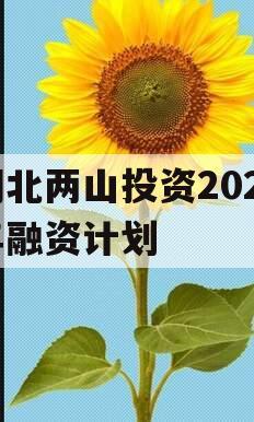 湖北两山投资2023年融资计划