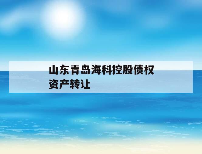 山东青岛海科控股债权资产转让 山东青岛海科控股债权资产转让