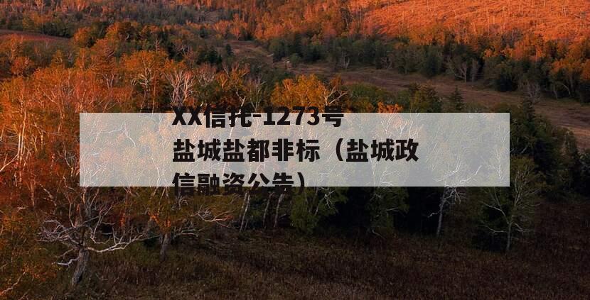 XX信托-1273号盐城盐都非标（盐城政信融资公告）