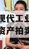 简阳市现代工业投资发展债权资产拍卖