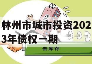 林州市城市投资2023年债权一期