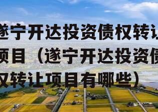遂宁开达投资债权转让项目（遂宁开达投资债权转让项目有哪些）