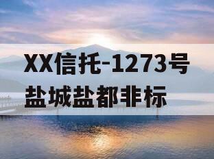 XX信托-1273号盐城盐都非标